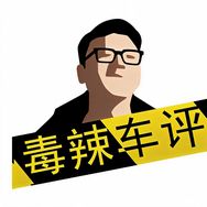 毒辣车评抖音达人头像