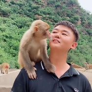 猴小匡抖音达人头像