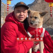 二牛和流浪狗抖音达人头像