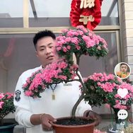庭艺哥教养花抖音达人头像
