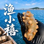渔小禧抖音达人头像