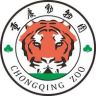 重庆动物园抖音达人头像