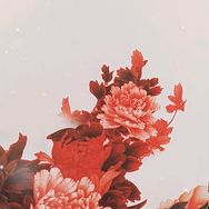 阿爷的农场抖音达人头像