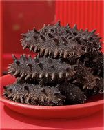 聊参堂海参抖音号头像