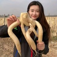 米栗抖音达人头像