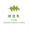植造氧工作室抖音达人头像