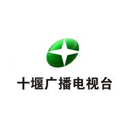 十堰广播电视台抖音达人头像