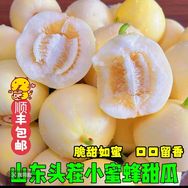 盛达农产品生鲜抖音达人头像