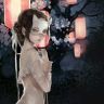 铁蛋的心事（高冷御姐）（王者很厉害）抖音达人头像