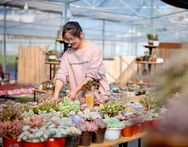 金小花多肉抖音号头像