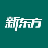 新东方精选抖音达人头像