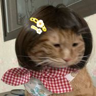 猫了个咪呀抖音达人头像