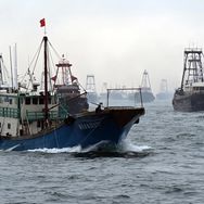 赵赵海鲜抖音号头像