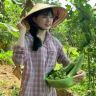 客家菜园抖音达人头像