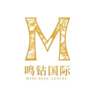鸣钻国际航亦专卖店VIP馆抖音达人头像