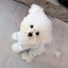 岑六六🐾抖音达人头像