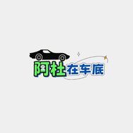 阿杜在车底抖音达人头像