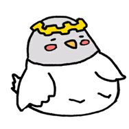 不更新A抖音达人头像