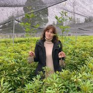 都江堰市洋洋树木种植场的小店抖音达人头像