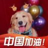 金毛大面包抖音达人头像