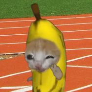 香蕉猫日记抖音达人头像
