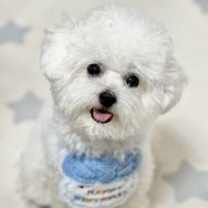旺仔爱骑车抖音达人头像