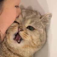 墩墩不高兴抖音达人头像
