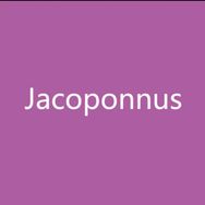 JACOPONNUS箱包旗舰店抖音达人头像