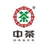 中茶官方旗舰店抖音达人头像