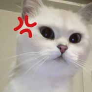 骜骜骜骜骜抖音达人头像
