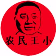 农民王小抖音达人头像