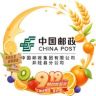 中国邮政集团有限公司河北省井陉县分公司抖音达人头像