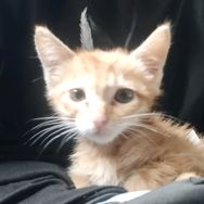 bro来财抖音达人头像