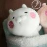 别动狗的猫抖音达人头像