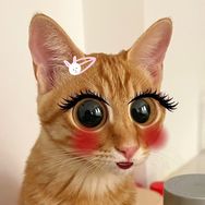 两个人是只猫抖音达人头像