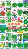 四季 种业抖音号头像