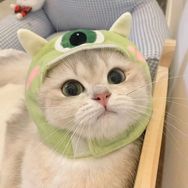 咪咪酱抖音达人头像