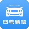 快速学车畅通过抖音达人头像