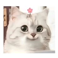 慕有枝抖音达人头像