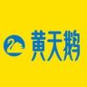 黄天鹅官方旗舰店抖音号头像