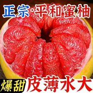 福建平和红心柚子板仔妹抖音达人头像