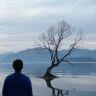 六边形炒家抖音达人头像