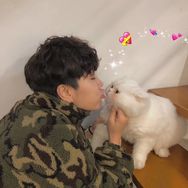 球球是只猫抖音达人头像