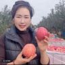 甘肃庆阳果儿抖音达人头像