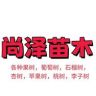 尚泽果树苗木专营店抖音达人头像
