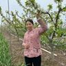 开封樱桃姐(女裤供应链）抖音达人头像