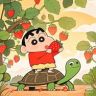 蜡笔小龟抖音达人头像