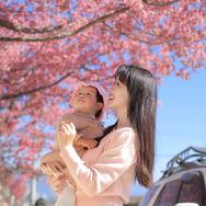 营养师范范（悦己育儿）抖音达人头像