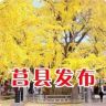 莒县发布抖音达人头像