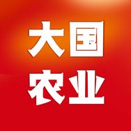 大国农业抖音达人头像